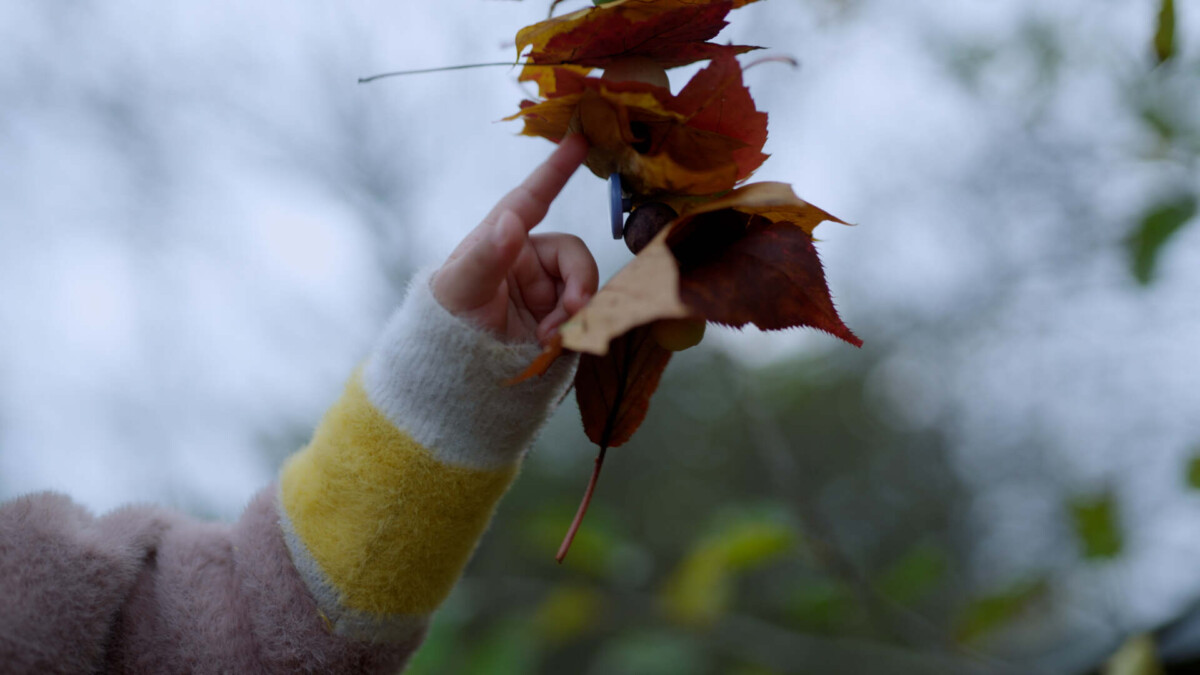 A baby's hand plays with a hanging autumn leaf.